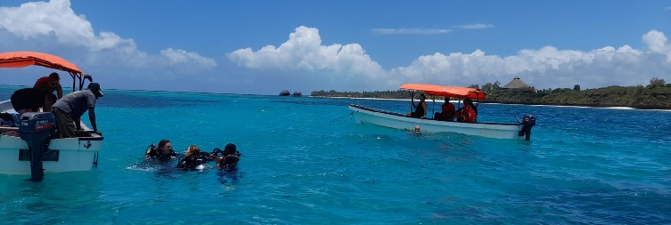Mnemba ദ്വീപ് ടൂർ
