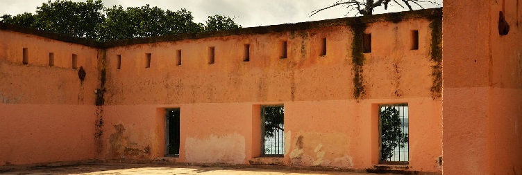Stone Town & Prison Island Tour
