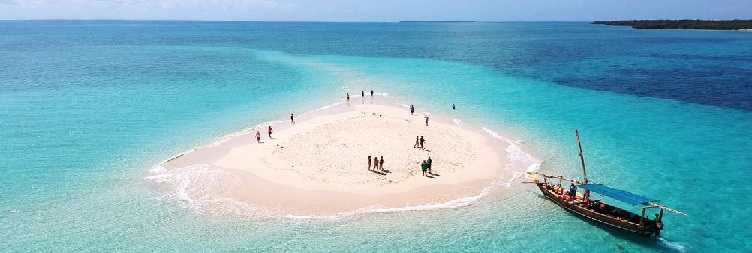 Safari Blue Day Trip