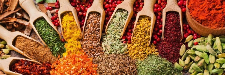 City Tour + Spice Plantation Tour in Stone Town