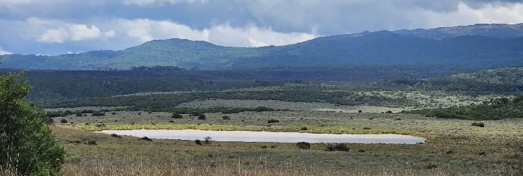 Nairobi to Aberdare National Park