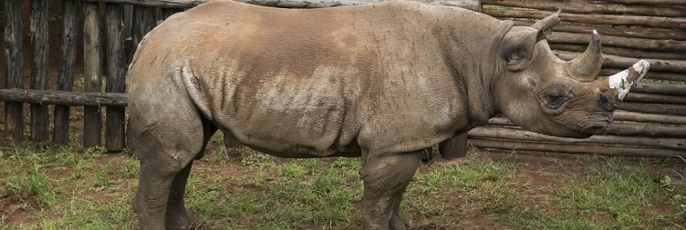 Akagera Safari & Lake Ihema Boat Trip