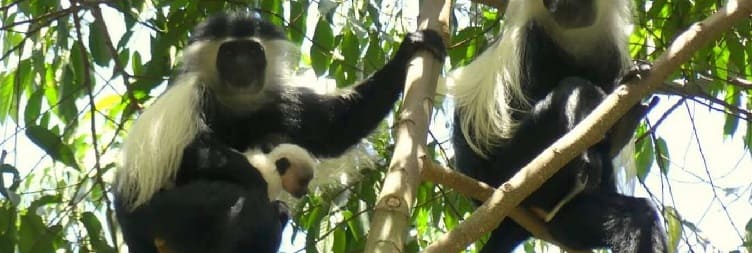 Private Aman Nature Reserve Day Trip