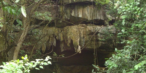 ടാൻസാനിയയിലെ ടാംഗയിൽ നിന്നുള്ള 1 ദിവസത്തെ ഐവേറ്റ് അംബോണി ഗുഹകളും സൾഫർ ഹോട്ട് സ്പ്രിംഗ്സ് യാത്രയും (2026 - 2027)