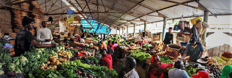 Arusha City & Market Visit Tour