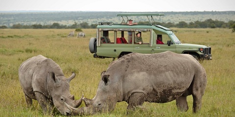 4 Days Private Mid-Range Safari in Tanzania from Zanzibar