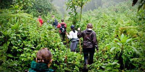 Nayrobidan Keniya, Tanzaniya, Zanzibar va Ugandaga Sharqiy Afrikadagi 19 kunlik o'rta masofali Safari sayohati (2026 - 2027)