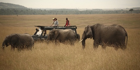 3 Days Group Mid-Range Mwanza to Serengeti & Ngorongoro 