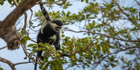 2 Days Group Mid-Range Safari in Tanzania from Zanzibar