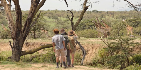 Safari tầm trung của nhóm Tanzania 4 ngày (Tarangire, Serengeti & Ngorongoro) từ Entebbe