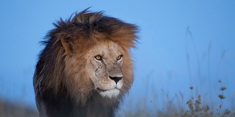 3 Kwanaki 3 Budget Safari mai zaman kansa daga Karatu a Tanzaniya (2026 - 2027)