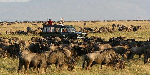 5 Days Rivate Budget Tanzania Safari from Dar-Es-Salaam