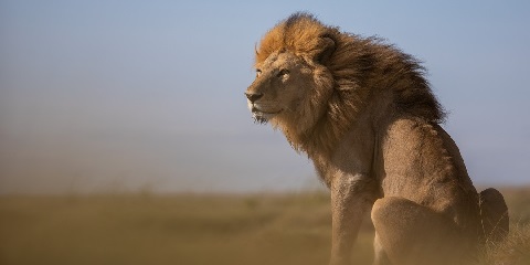 Safari Julat Pertengahan Persendirian 6 Hari di Tanzania dan Percutian Zanzibar dari Arusha (2026 - 2027)