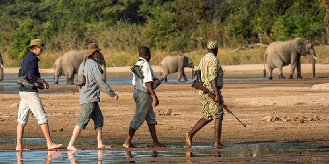 6 Days Private Budget Tanzania Safari from Moshi