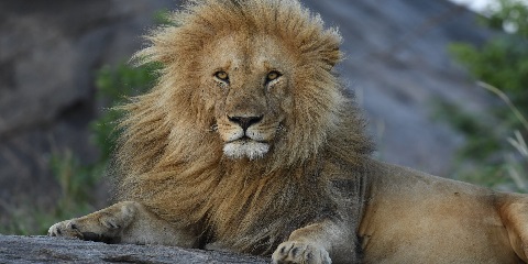 12 Days Tanzania Safari & Zanzibar Beach Adventure