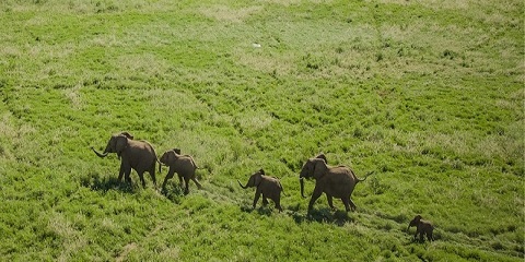 8 Days Tanzania Safari & Zanzibar Beach from Arusha