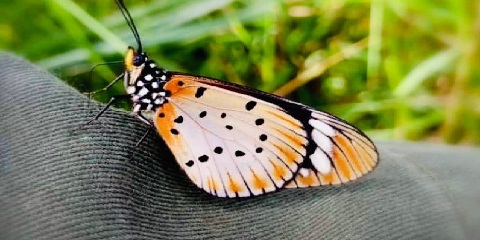 3 Days Tanzania Group Mid-Range Safari from Kigali