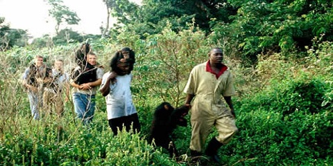 1 Day Private Forest Walk Tour in Arusha, Tanzania (2026 - 2027)