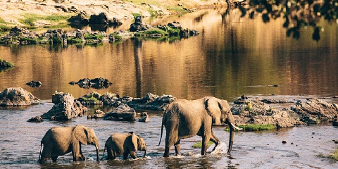 3 Days Group Mid-Range Safari from Dar Es Salaam