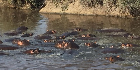 5 Days Group Budget Safari in Tanzania from Zanzibar