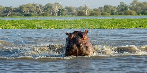 2-Day Tanzania Camping Safari from Karatu – (Lake Manyara & Ngorongoro Crater)
