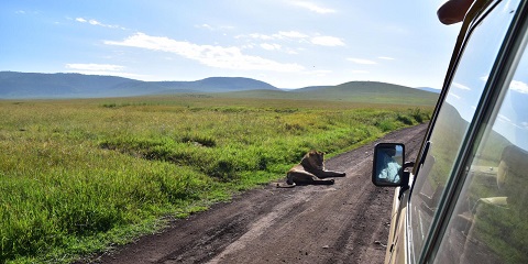 4 Days Private Budget Safari in Tanzania from Moshi