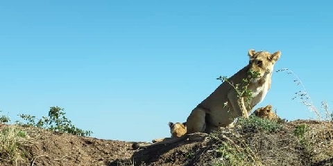 Lake Manyara National Park