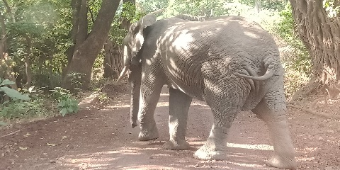 ซาฟารีสุดหรูแบบกลุ่ม 2 วันจาก Karatu ไปจนถึงทะเลสาบ Manyara และปล่องภูเขาไฟ Ngorongoro ประเทศแทนซาเนีย
