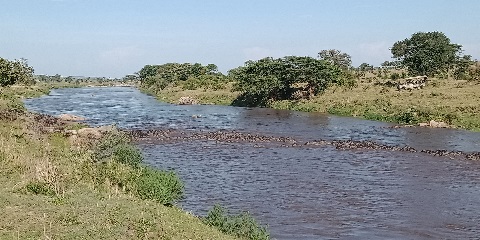 7 Days Private Mid Range Safari from Dar-Es-Salaam