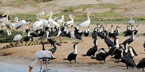 5 Days Group Luxury Safari in Tanzania from Dar-Es-Salaam
