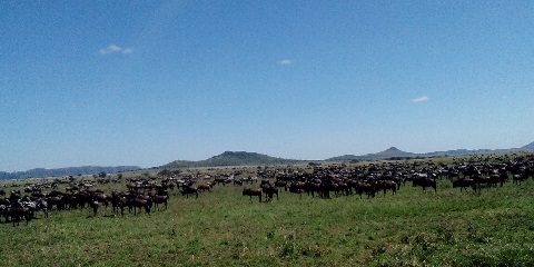Serengeti National Park