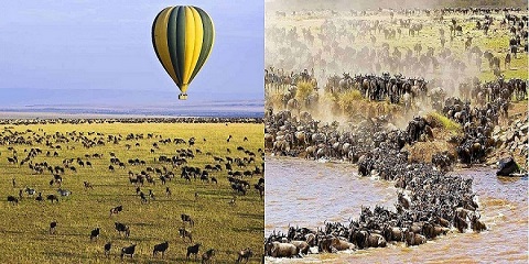 3 Days Safari in Tanzania from Arusha