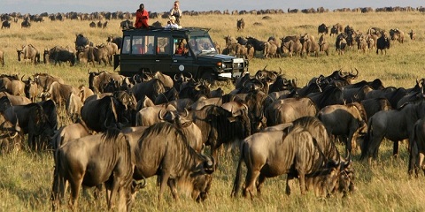 9 Days Private Luxury Wildebeest Safari Zanzibar