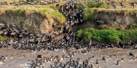 12 Ọjọ 12 Iṣilọ Iṣilọ Aladani Aladani lati Nairobi ni Kenya ati Tanzania (2026 - 2027)