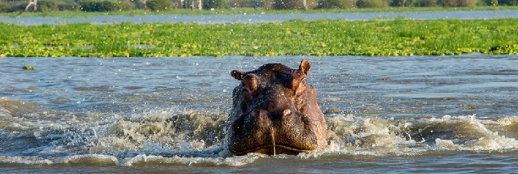 Lake Manyara National Park to Arusha