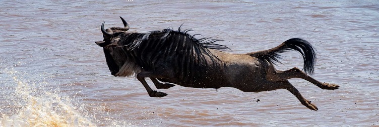 Mto wa Mbu  To Serengeti National Park
