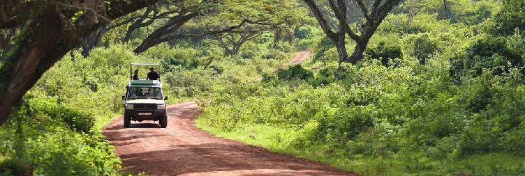 Ngorongoro Crater to Arusha
