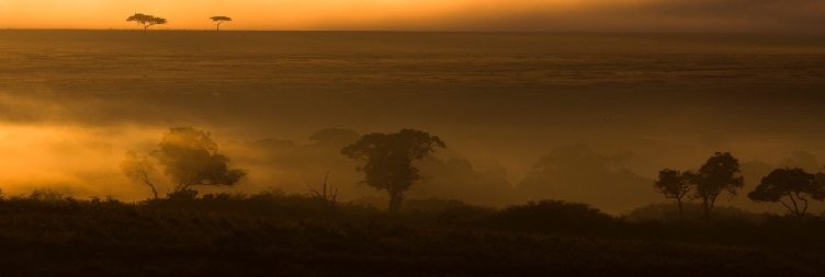 Full Day Game Drive Safari in Serengeti National Park