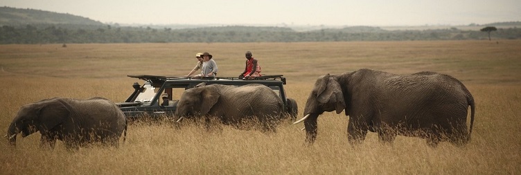 Serengeti National Park to Ngorongoro Conservation Area