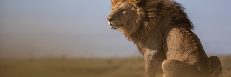 Lake Manyara / Mto wa Mbu to Serengeti National Park