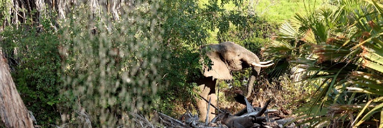 Lake Manyara National Park to Arusha