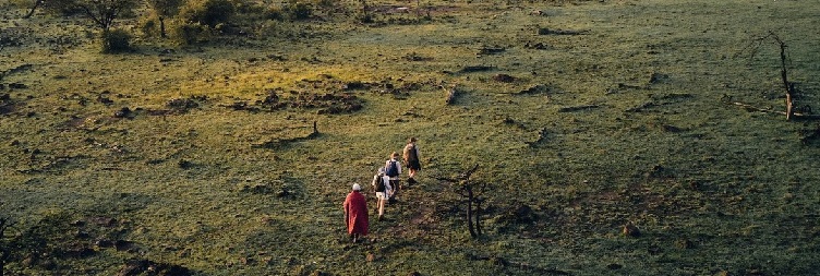 Full-Day Game Drive Safari in Serengeti National Park