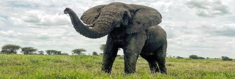 Lake Manyara / Mto Wa Mbu to Serengeti National Park