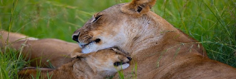 Lake Manyara / Mto wa Mbu to Serengeti National Park