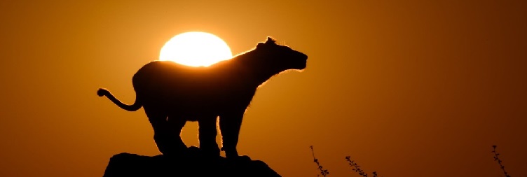 Serengeti National Park to Ngorongoro Conservation Area