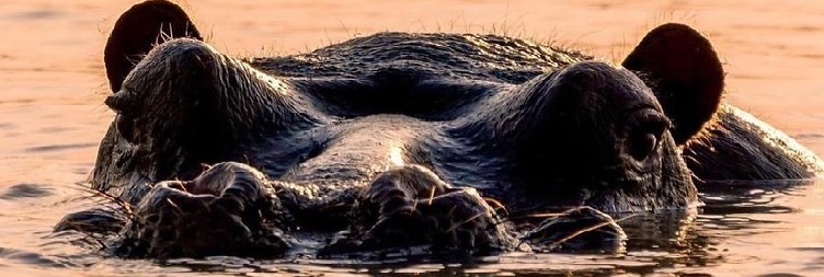 Lake Manyara National Park to Arusha Then Fly to Zanzibar 