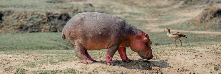 Lake Manyara National Park to Arusha