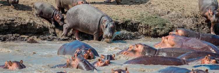 Lake Manyara National Park to Arusha