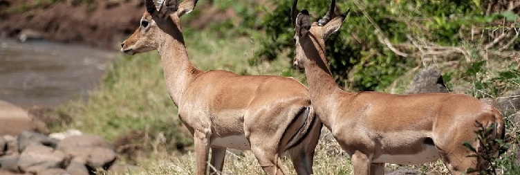 Arusha – Arusha National Park – Arusha
