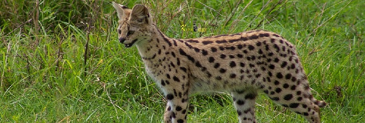 Mto wa Mbu to Serengeti National Park